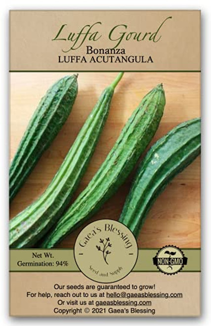 Gaea's Blessing Seeds - Luffa Gourd Seeds - Bonanza Heirloom - Non-GMO Seeds with Easy to Follow Planting Instructions - Heirloom Sponge Ridged Loofah Muop Huong 94 percent Germination Rate Gaea's Blessing Seeds - Luffa Gourd Seeds - Bonanza Heirloom - Non-GMO Seeds with Easy to Follow Planting Instructions - Heirloom Sponge Ridged Loofah Muop Huong 94 percent Germination Rate