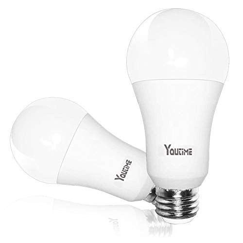 3 Way led Light Bulbs, 6/10/15W (50/75/100W Equivalent) 500/1200/1600LM and A19 5000K Daylight, E26 Medium Screw Base Light Bulb for Bathroom & Kichen, 2 Packs by Youtime