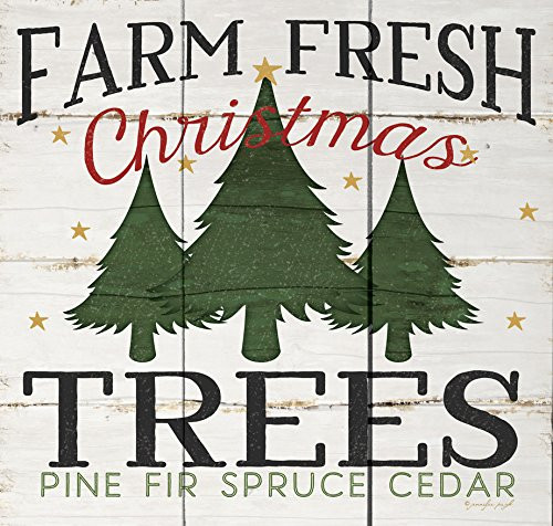 P. GRAHAM DUNN Farm Fresh Christmas Trees Whitewash 10.5 x 10 Wood Pallet Wall Plaque Sign P. GRAHAM DUNN Farm Fresh Christmas Trees Whitewash 10.5 x 10 Wood Pallet Wall Plaque Sign