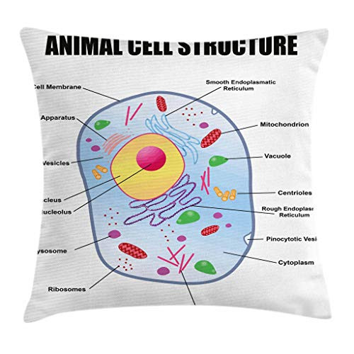 Ambesonne Educational Throw Pillow Cushion Cover, Microbiology Theme Animal Cell Structure Genetic Research School Study Science, Decorative Square Accent Pillow Case, 18 X 18 Inches, Multicolor