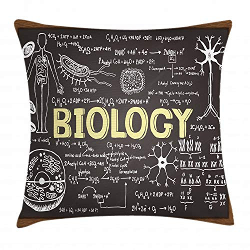 Ambesonne Educational Throw Pillow Cushion Cover, Black Chalkboard Biology Hand Written Symbols School Classroom, Decorative Square Accent Pillow Case, 18 X 18 Inches, Black Brown Pale Yellow