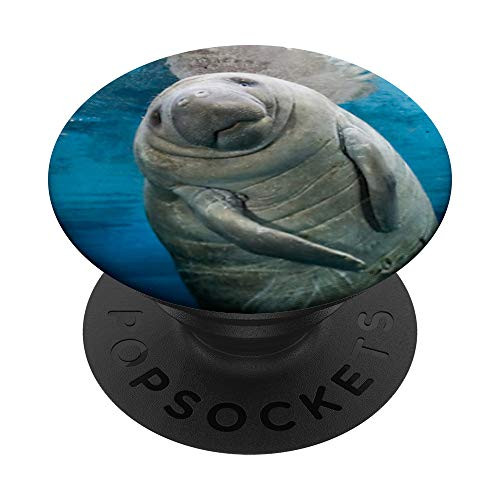 Cute Sea Cow Manatee Mammal Conservation Photograph PopSockets PopGrip: Swappable Grip for Phones  and  Tablets