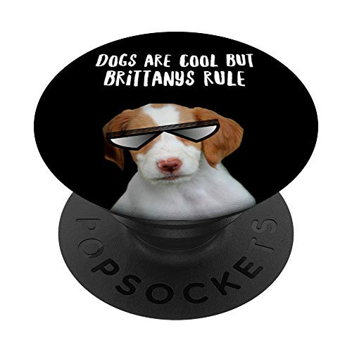 Dogs are Cool But Brittany Spaniels Rule Funny Gift PopSockets PopGrip: Swappable Grip for Phones  and  Tablets