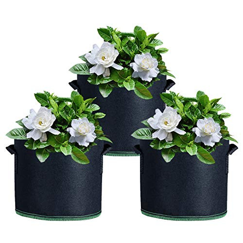 Plant Grow Bags 3-Pack 7 Gallon Heavy Duty Thickened Nonwoven Aeration Fabric Containers for Potato Tomato and Fruits Plant Growing Pots with Handles -Black- Plant Grow Bags 3-Pack 7 Gallon Heavy Duty Thickened Nonwoven Aeration Fabric Containers for Potato Tomato and Fruits Plant Growing Pots with Handles -Black-