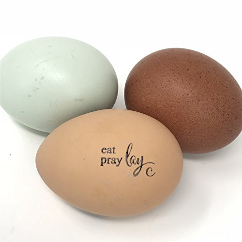 Eat Pray Lay Stamp, Egg Stamp, Egg Carton Stamp, Wood Stamp, Rubber Stamp, Eat Pray Lay, Egg Carton Stamp, Fresh Eggs, .5" x 1"