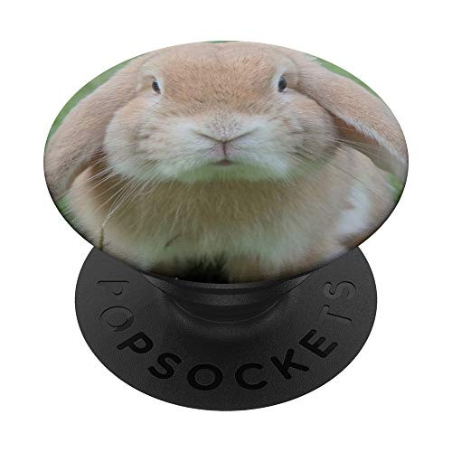 Rabbit PopSockets PopGrip: Swappable Grip for Phones  and  Tablets