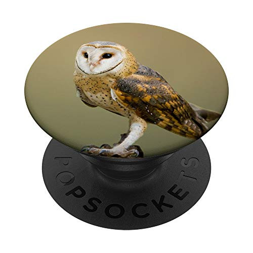 Cute Barn Owl PopSockets PopGrip: Swappable Grip for Phones  and  Tablets