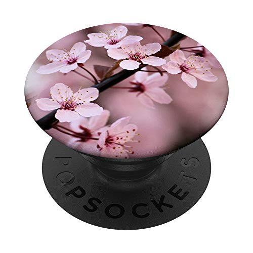 Blooming Cherry Blossom Tree Branch PopSockets Grip and Stand for Phones and Tablets
