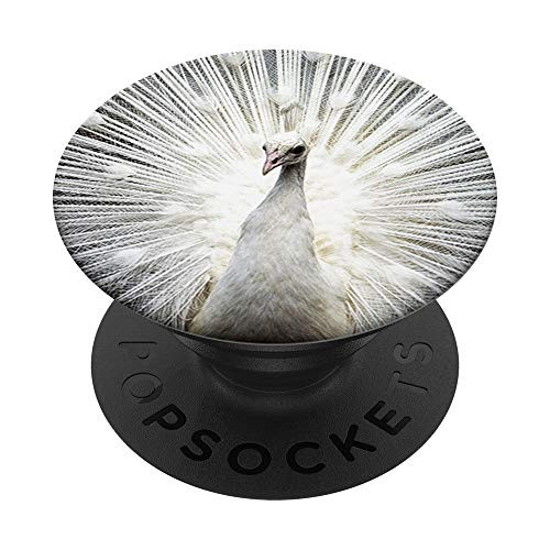 White Peacock Bird Feather Pattern Zx PopSockets Grip and Stand for Phones and Tablets White Peacock Bird Feather Pattern Zx PopSockets Grip and Stand for Phones and Tablets