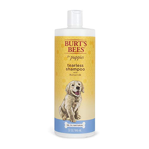 Burt's Bees for Dogs Natural Tearless Puppy Shampoo with Buttermilk | Dog and Puppy Shampoo for Gentle Fur, 32 Ounces | Cruelty Free, Sulfate  and  Paraben Free, pH Balanced for Dogs - Made in The USA Burt's Bees for Dogs Natural Tearless Puppy Shampoo with Buttermilk | Dog and Puppy Shampoo for Gentle Fur, 32 Ounces | Cruelty Free, Sulfate  and  Paraben Free, pH Balanced for Dogs - Made in The USA