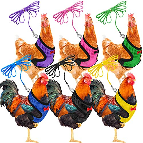 6 Pieces Chicken Harness and Leash Breathable Hen Pet Vest with 3.6 Feet Matching Belt Comfortable Chicken Training Harness and Leash for 2.5 lb Chicken, Duck or Goose -M-