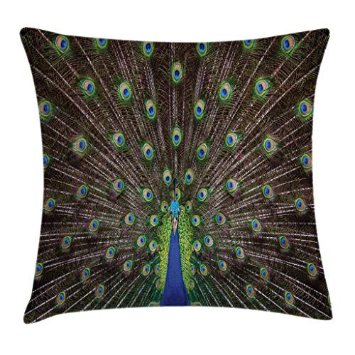 Ambesonne Peacock Throw Pillow Cushion Cover, Portrait of Peacock with Huge Grand Majestic Feathers Enchanted Plumage Image, Decorative Square Accent Pillow Case, 18 X 18 Inches, Brown Blue Green