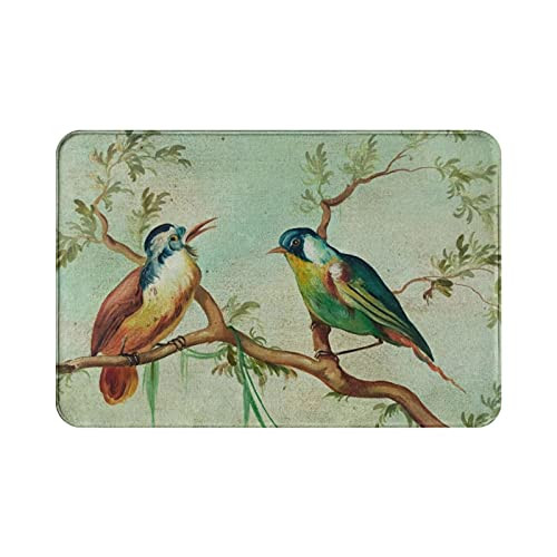 Birds Bath Rugs, 23.5"x 15.7" Bath Mats Rugs for Bathroom/Kitchen, Bathroom Decor Mat with Non Slip, Washable Floor Rug for Bedroom Indoor