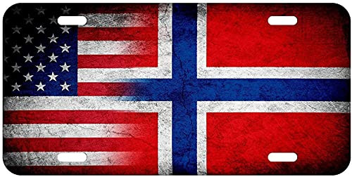 DKISEE License Plate Frame Stainless Steel Flag of Norway -Norwegian- - Waves License Plate Cover Auto Tag Holder 6"X12"