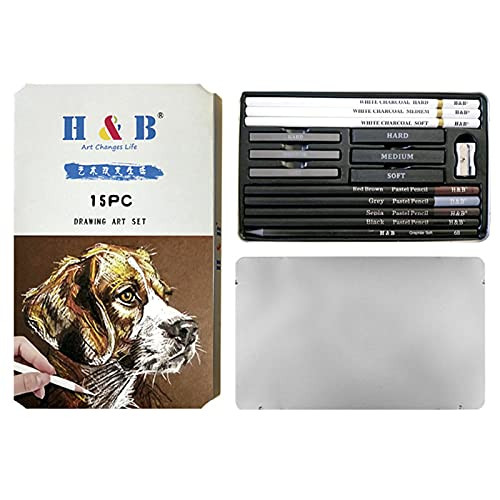 Fesjoy Drawing Pencil, 15Pcs/Set Art Supplies Drawing Kit White Charcoal and Pastel Pencils Set Painting Tools