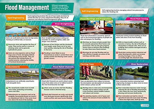 Flood Management | Geography Posters | Gloss Paper Measuring 33 x 23.5 | Geography Classroom Posters | Education Charts by Daydream Education