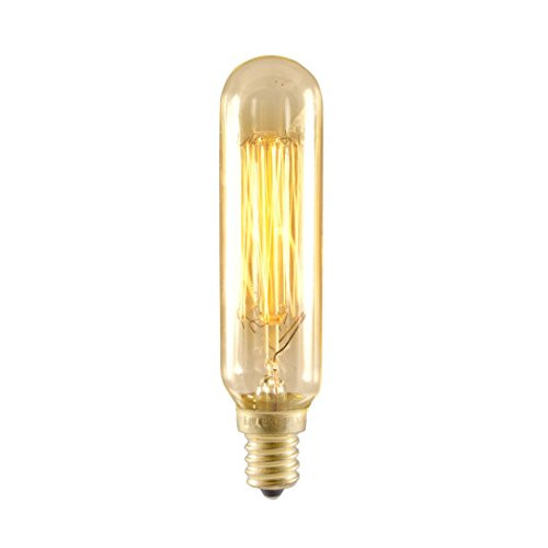 25 Watt Incandescent Edison T6 Tube Candelabra Base Bulb [Set of 4-