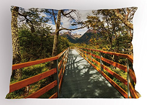 Ambesonne Countryside Pillow Sham, Wooden Boardwalk in Forest Wilderness Getaway Footpath Summertime Hike, Decorative Standard Queen Size Printed Pillowcase, 30 X 20 Inches, Orange Green Brown