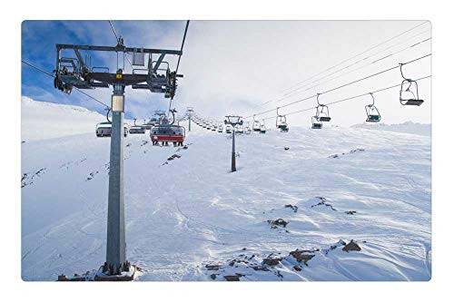 LESGAULEST Doormat Floor Rug/Mat -23.6 x 15.7 inch- - Mountains Lift Ski Cable Wire Wild Slope