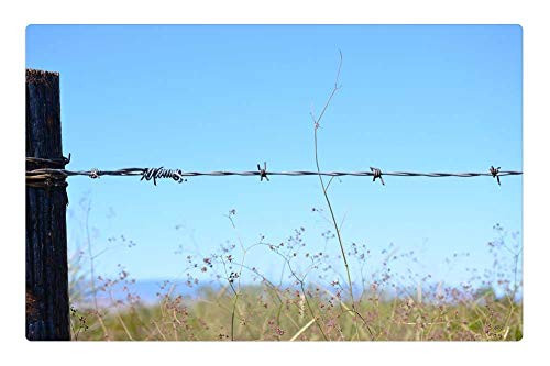 LESGAULEST Doormat Floor Rug/Mat -23.6 x 15.7 inch- - Green Grass Barbed Wire Wood Clouds Blue Sky