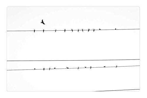 LESGAULEST Doormat Floor Rug/Mat -23.6 x 15.7 inch- - Electrical Line Birds Electrical Wires