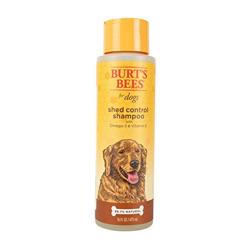 Burt's Bees for Dogs Natural Shed Control Shampoo with Omega 3 and Vitamin E | Shedding Dog Shampoo | Cruelty Free, Sulfate  and  Paraben Free, pH Balanced for Dogs - Made in USA, 16 Ounces Burt's Bees for Dogs Natural Shed Control Shampoo with Omega 3 and Vitamin E | Shedding Dog Shampoo | Cruelty Free, Sulfate  and  Paraben Free, pH Balanced for Dogs - Made in USA, 16 Ounces