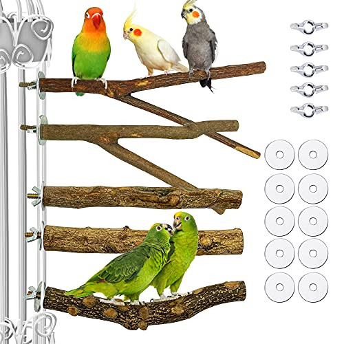 Lopbraa 9.84inch Bird Perch Stand Parrot Perches Natural Wood Cage Perch Platform Stand for Small Birds Parrots Parakeets Cockatiels Conures Cages Accessories 5 PCS