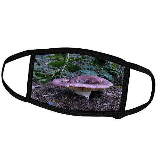 3dRose Canada, Vancouver. Rosy Russula on The Forest Floor - Face Covers -fc-226771-1-