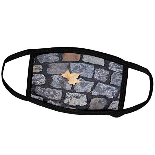 3dRose Kike Calvo Paris - Paris France, Tree Leafs on The Floor - Face Masks -fm-10492-3-