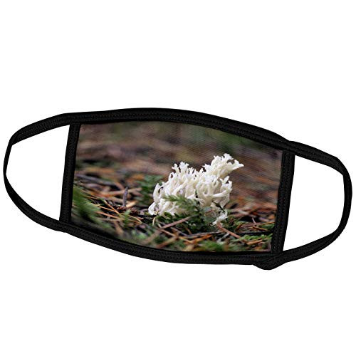 3dRose Danita Delimont - Canada - Canada, Vancouver. Coral Fungi on The Forest Floor - Face Masks -fm-226772-2-