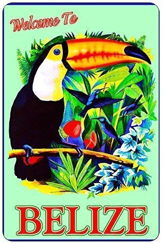 Danny Penaw Tin Sign New Aluminum Metal Belize Toucan Bird Central America Caribbean Sea Vintage Retro 8x12inches