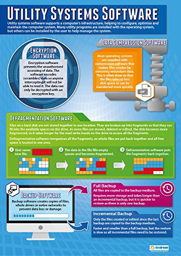 Utility Systems Software | Computer Science Posters | Laminated Gloss Paper Measuring 33 x 23.5 | STEM Posters for The Classroom | Education Charts by Daydream Education