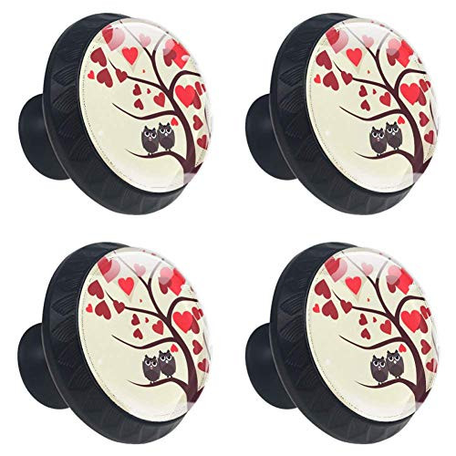Idealiy Owls Valentines Day Cabinet Dresser Drawer Knobs Glass Pull Handle for Cabinet Door Wardrobe Cupboard