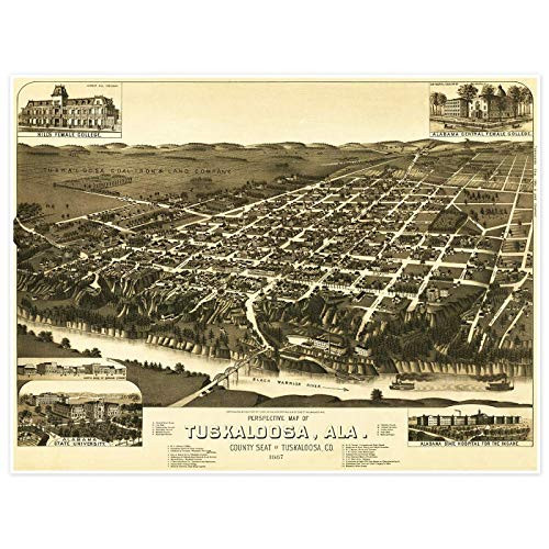 Antiguos Maps - Tuscaloosa, Alabama map circa 1824 - measures 24 in x 32 in -610 mm x 813 mm-