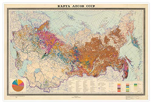 Antiguos Maps - USSR Soviet Russia Forest Map Circa 1959 - Measures 24 inches x 36 inches -610 mm x 915 mm-