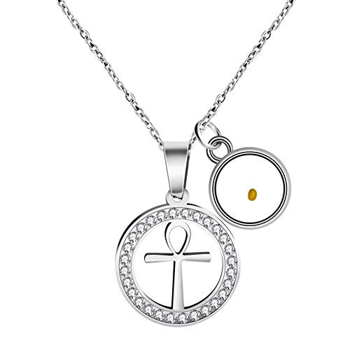 Stainless Steel Ankh Cross Necklace Zircon Pave Round Pendant Mustard Seed Charms Christian Jewelry ZY027 Stainless Steel Ankh Cross Necklace Zircon Pave Round Pendant Mustard Seed Charms Christian Jewelry ZY027