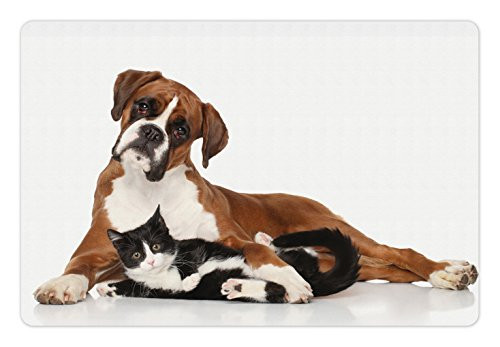 Ambesonne Animal Pet Mat for Food and Water, Cat and Dog Together Lying on Floor Couple Real Friends Kitty Portrait, Rectangle Non-Slip Rubber Mat for Dogs and Cats, Brown Black White Ambesonne Animal Pet Mat for Food and Water, Cat and Dog Together Lying on Floor Couple Real Friends Kitty Portrait, Rectangle Non-Slip Rubber Mat for Dogs and Cats, Brown Black White