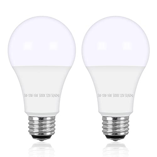 Zorykn 3-Way A19 LED Light Bulb 50-100-150W Equivalent, 5000K Daylight, LED Frosted Light Bulb with E26 Medium Base, Perfect for Table Lamps, Desk Lamps, Floor Lamps, 600-1200-1800LM-2 Pack-