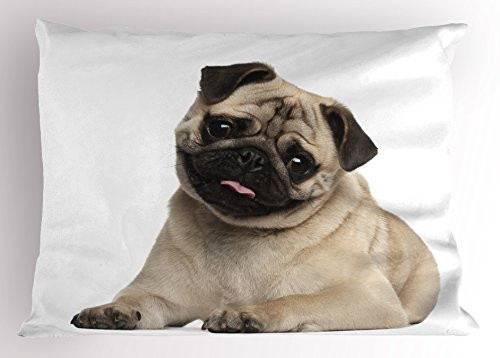 Ambesonne Pug Pillow Sham, 9 Months Old Pug Puppy Lying Around Pet Funny Animal Domestication Print, Decorative Standard King Size Printed Pillowcase, 36" X 20", Pale Brown Black