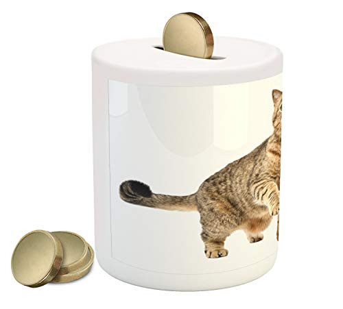 Ambesonne Kitty Piggy Bank, Image of a Scottish Straight with a Raised Paw, Ceramic Coin Bank Money Box for Cash Saving, 3.6" X 3.2", Brown White Ambesonne Kitty Piggy Bank, Image of a Scottish Straight with a Raised Paw, Ceramic Coin Bank Money Box for Cash Saving, 3.6" X 3.2", Brown White