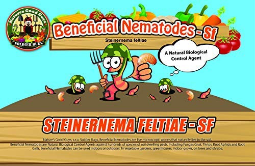 NaturesGoodGuys - Beneficial Nematodes Steinernema Feltiae - SF -5 Million-