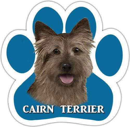E&S Pets 13125-9 Dog Car Magnet