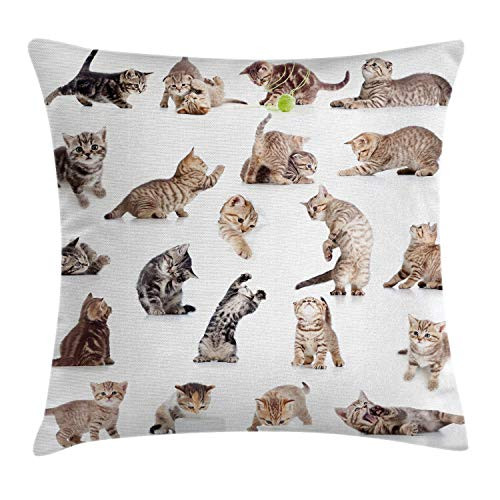 Ambesonne Cat Throw Pillow Cushion Cover, Illustration of Funny Playful Cats on White Background Animals Kitten Pattern, Decorative Square Accent Pillow Case, 18" X 18", Brown Black White