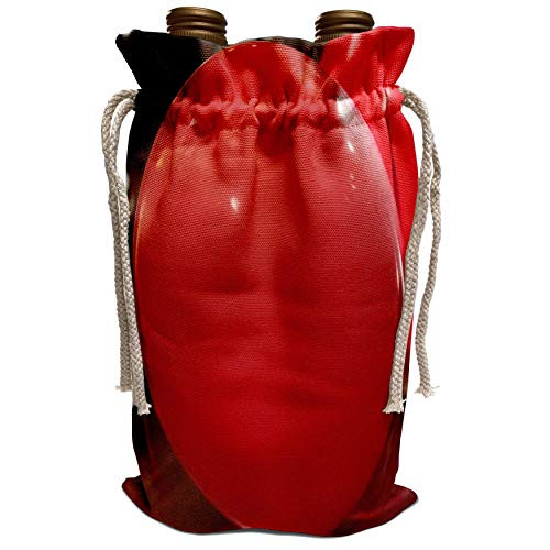 3dRose Jos Fauxtographee- Balloons - A close up of two red balloons on a hard wood floor - Wine Bag -wbg-320277-1- 3dRose Jos Fauxtographee- Balloons - A close up of two red balloons on a hard wood floor - Wine Bag -wbg-320277-1-