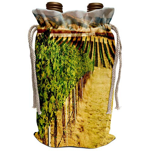 3dRose Danita Delimont - Vineyards - Washington, Walla Walla. Blue Mountains, Vineyard - US48 RDU0231 - Richard Duval - Wine Bag -wbg-96642-1- 3dRose Danita Delimont - Vineyards - Washington, Walla Walla. Blue Mountains, Vineyard - US48 RDU0231 - Richard Duval - Wine Bag -wbg-96642-1-