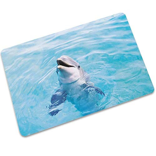 QiongXi Rectangular Floor Mat Entrance Doormat Kitchen Carpet Mat Bathroom Absorbent Non-Slip Rubber Carpet Floor Mat Entrance Door Rubbing Soil Mats DolphinDolphin Show, 40x60cm