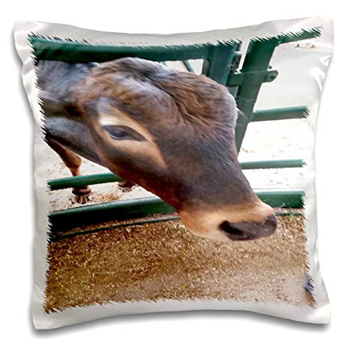 3dRose lens Art by Florene - Florida Fair - Image of Closeup Of A Large Brown Goat At Fairgrounds - 16x16 inch Pillow Case -pc-309460-1-