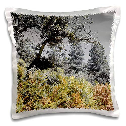 3dRose Jos Fauxtographee- Unsaturated with Select Colors - Trees and brush done in a select color setting in yellow and orange - 16x16 inch Pillow Case -pc-309725-1-