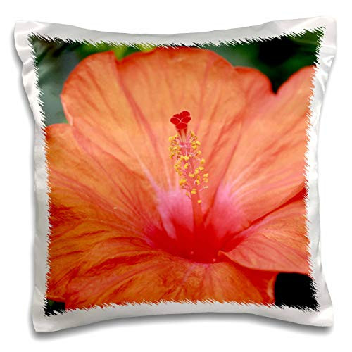 3dRose Macro photograph of a an orange hibiscus flower. - Pillow Cases -pc-336756-1- 3dRose Macro photograph of a an orange hibiscus flower. - Pillow Cases -pc-336756-1-