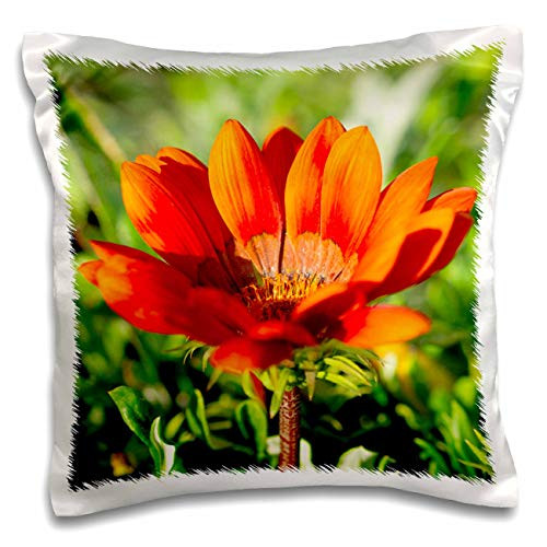 3dRose Orange zinnia flower against the sunlit green background - Pillow Cases -pc-340160-1-